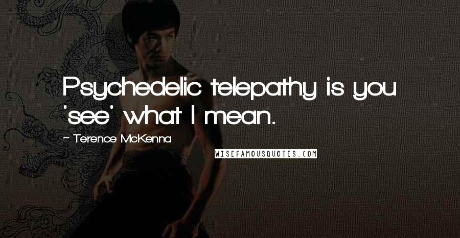 Terence McKenna Quotes: Psychedelic telepathy is you 'see' what I mean.