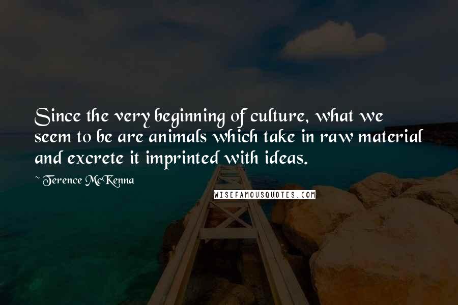Terence McKenna Quotes: Since the very beginning of culture, what we seem to be are animals which take in raw material and excrete it imprinted with ideas.