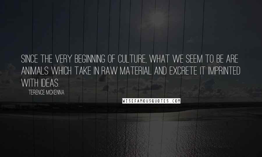 Terence McKenna Quotes: Since the very beginning of culture, what we seem to be are animals which take in raw material and excrete it imprinted with ideas.