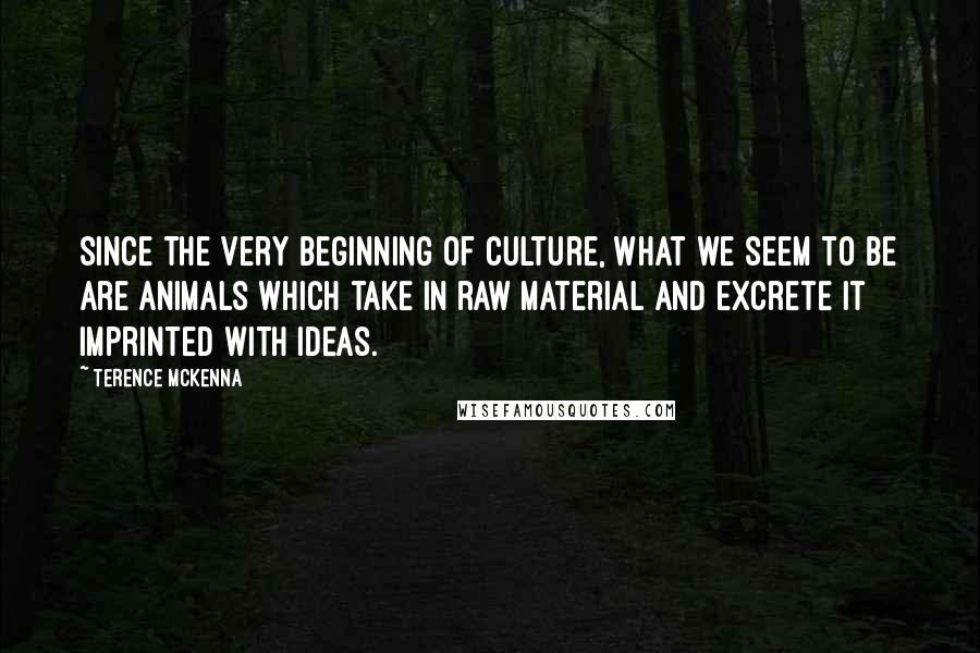 Terence McKenna Quotes: Since the very beginning of culture, what we seem to be are animals which take in raw material and excrete it imprinted with ideas.