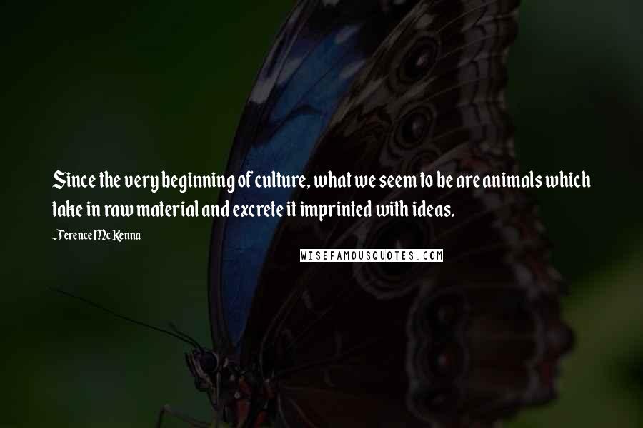 Terence McKenna Quotes: Since the very beginning of culture, what we seem to be are animals which take in raw material and excrete it imprinted with ideas.