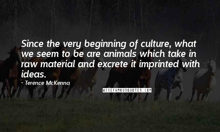 Terence McKenna Quotes: Since the very beginning of culture, what we seem to be are animals which take in raw material and excrete it imprinted with ideas.