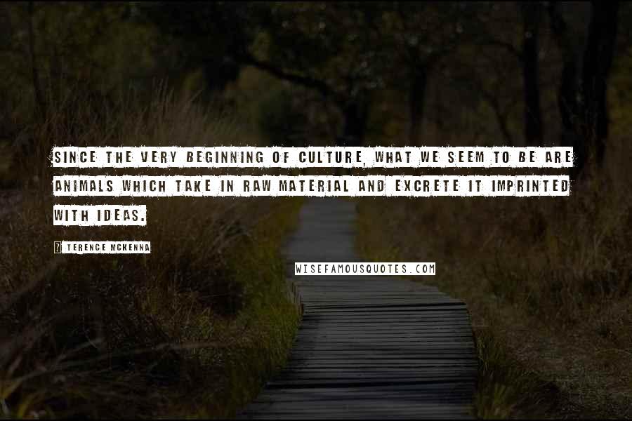 Terence McKenna Quotes: Since the very beginning of culture, what we seem to be are animals which take in raw material and excrete it imprinted with ideas.