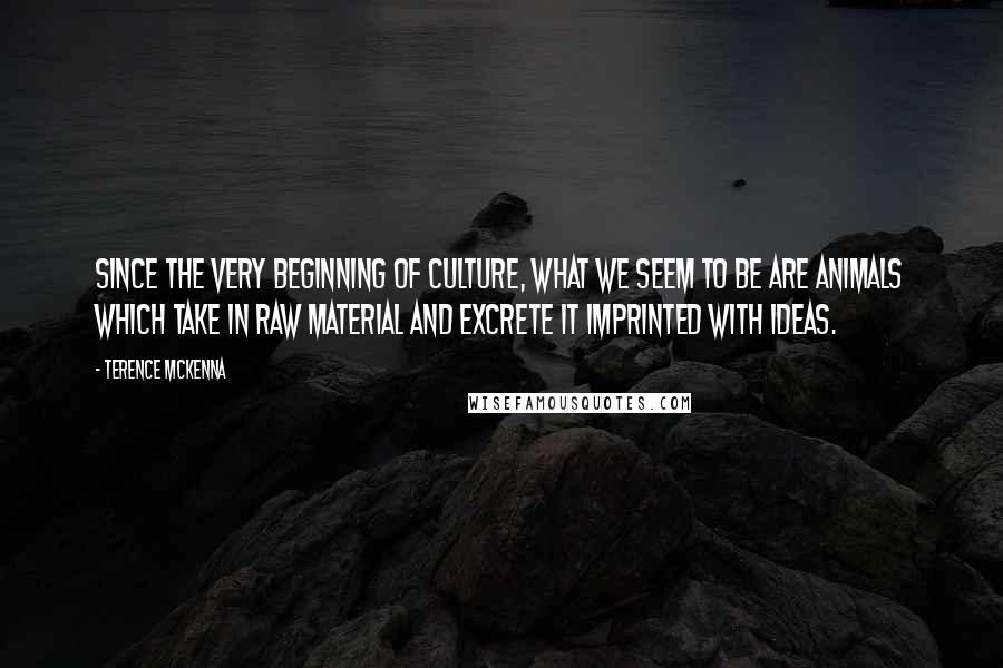 Terence McKenna Quotes: Since the very beginning of culture, what we seem to be are animals which take in raw material and excrete it imprinted with ideas.