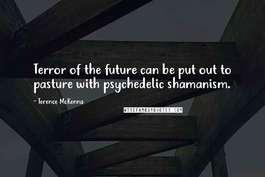 Terence McKenna Quotes: Terror of the future can be put out to pasture with psychedelic shamanism.