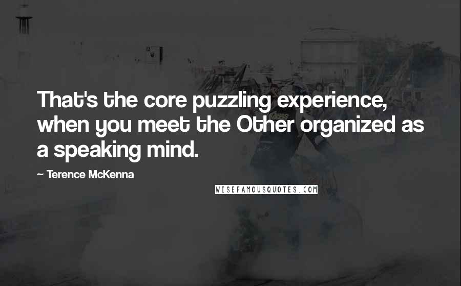 Terence McKenna Quotes: That's the core puzzling experience, when you meet the Other organized as a speaking mind.