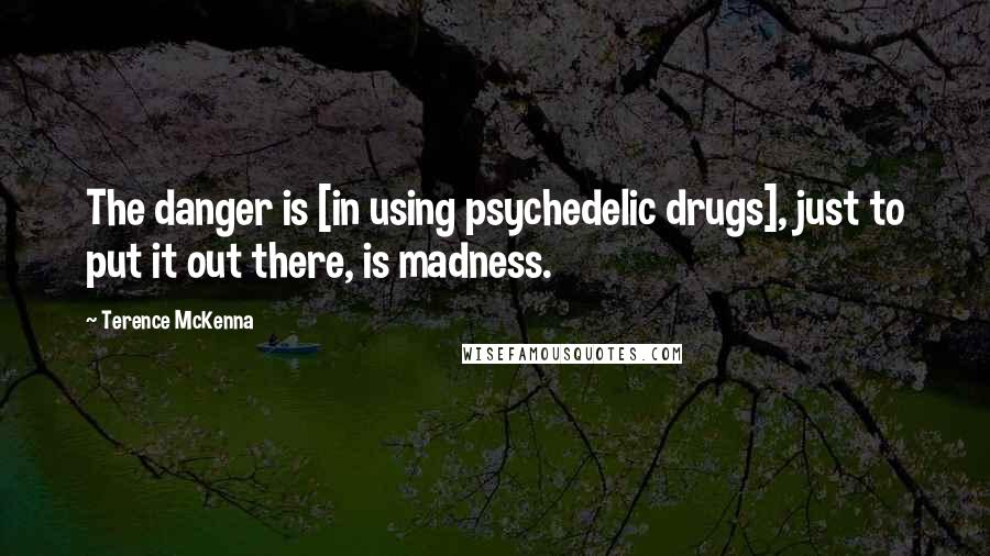 Terence McKenna Quotes: The danger is [in using psychedelic drugs], just to put it out there, is madness.