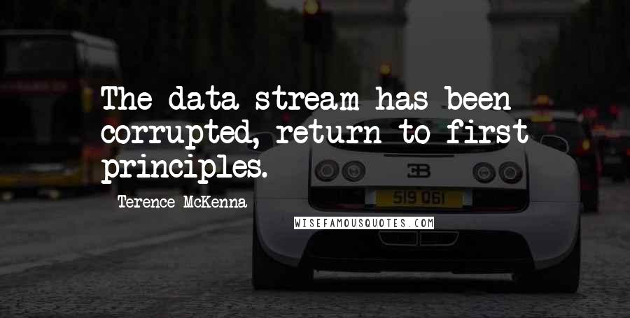 Terence McKenna Quotes: The data stream has been corrupted, return to first principles.