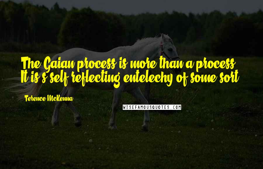 Terence McKenna Quotes: The Gaian process is more than a process. It is s self-reflecting entelechy of some sort.