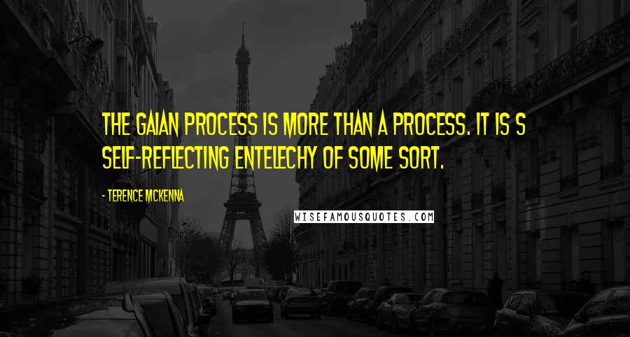 Terence McKenna Quotes: The Gaian process is more than a process. It is s self-reflecting entelechy of some sort.