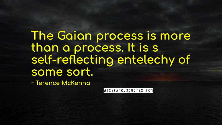 Terence McKenna Quotes: The Gaian process is more than a process. It is s self-reflecting entelechy of some sort.