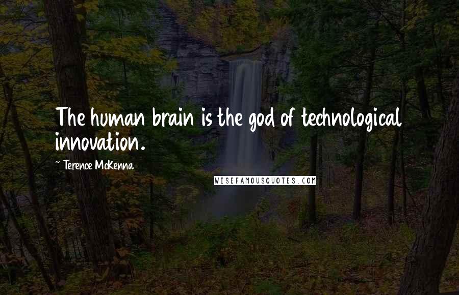 Terence McKenna Quotes: The human brain is the god of technological innovation.