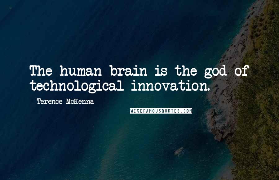 Terence McKenna Quotes: The human brain is the god of technological innovation.