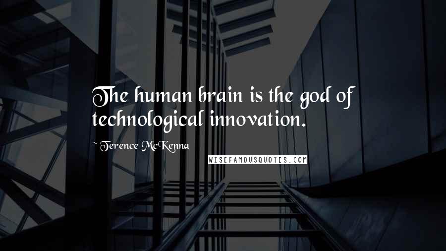 Terence McKenna Quotes: The human brain is the god of technological innovation.