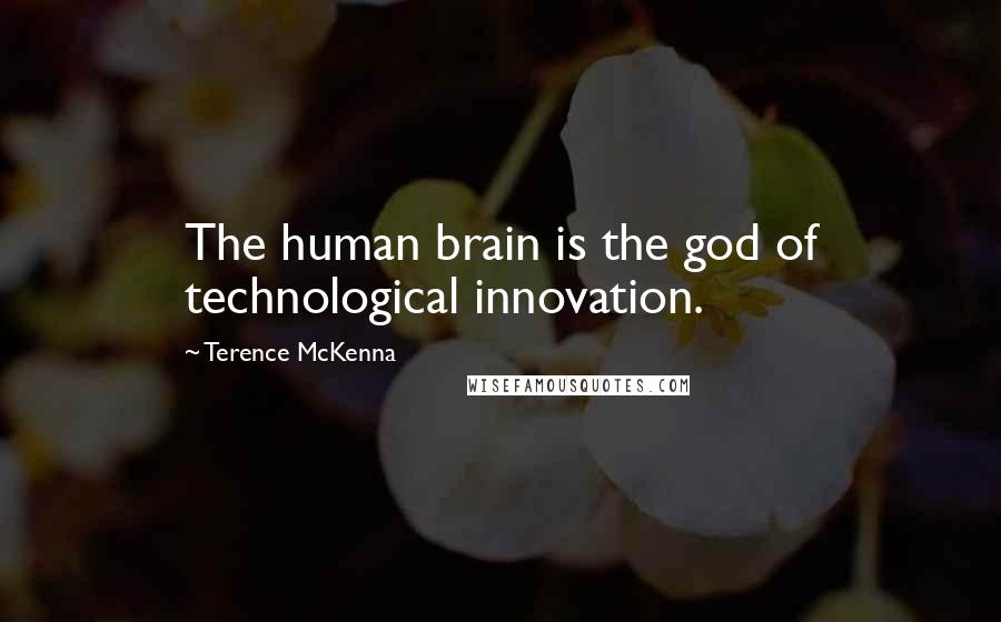 Terence McKenna Quotes: The human brain is the god of technological innovation.