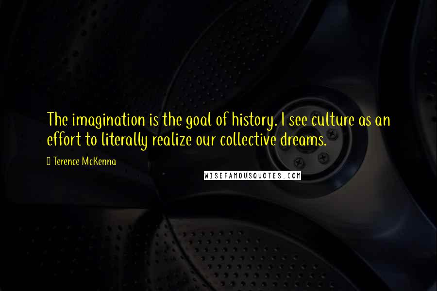 Terence McKenna Quotes: The imagination is the goal of history. I see culture as an effort to literally realize our collective dreams.