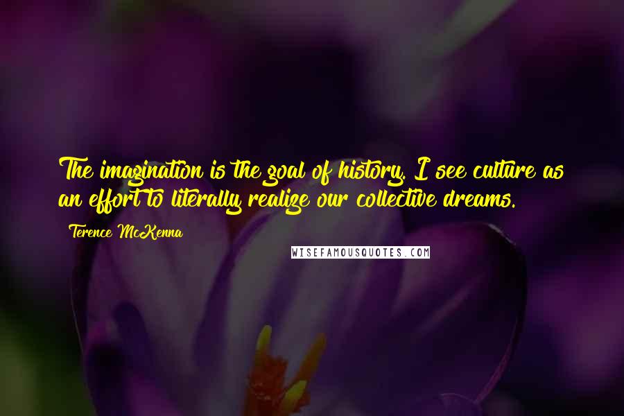 Terence McKenna Quotes: The imagination is the goal of history. I see culture as an effort to literally realize our collective dreams.