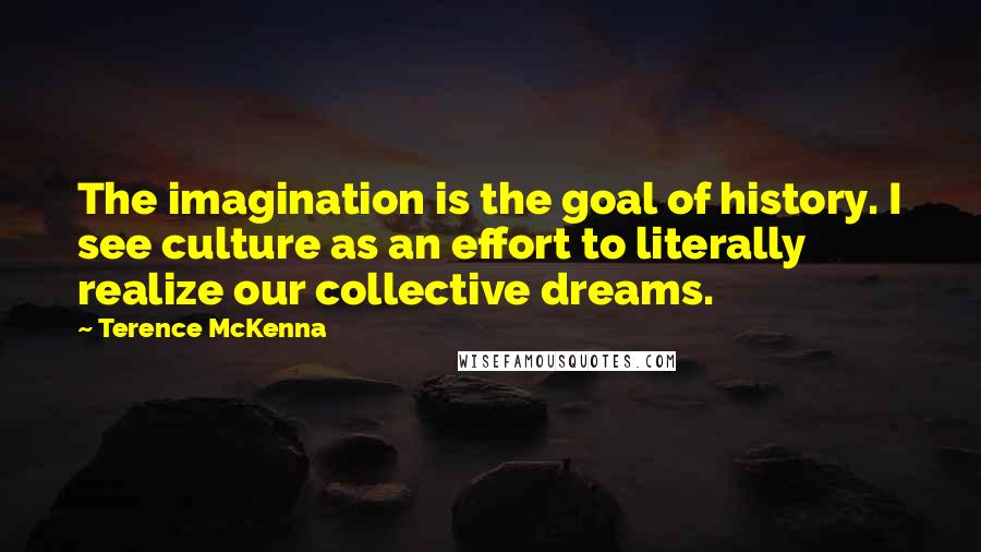 Terence McKenna Quotes: The imagination is the goal of history. I see culture as an effort to literally realize our collective dreams.