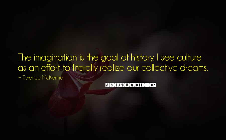 Terence McKenna Quotes: The imagination is the goal of history. I see culture as an effort to literally realize our collective dreams.
