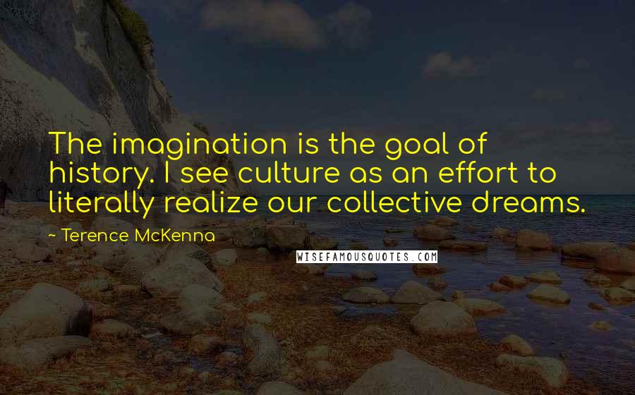 Terence McKenna Quotes: The imagination is the goal of history. I see culture as an effort to literally realize our collective dreams.