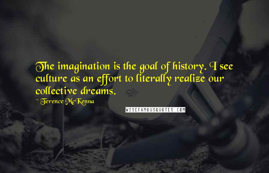 Terence McKenna Quotes: The imagination is the goal of history. I see culture as an effort to literally realize our collective dreams.