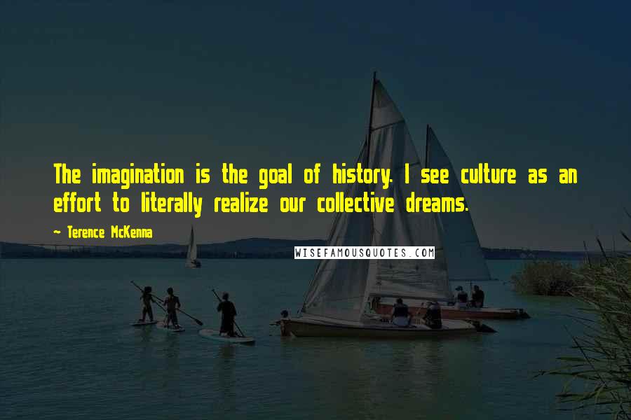 Terence McKenna Quotes: The imagination is the goal of history. I see culture as an effort to literally realize our collective dreams.