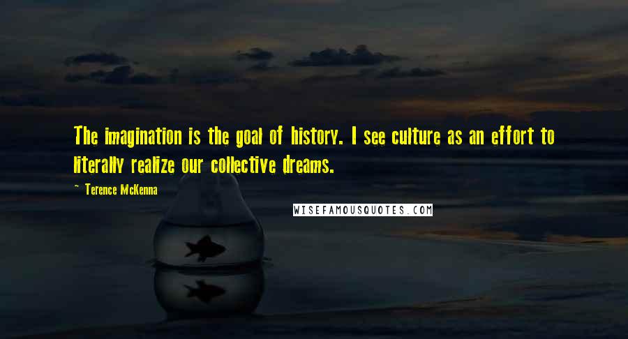 Terence McKenna Quotes: The imagination is the goal of history. I see culture as an effort to literally realize our collective dreams.