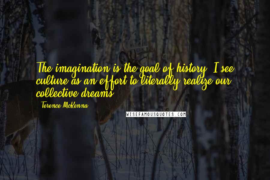 Terence McKenna Quotes: The imagination is the goal of history. I see culture as an effort to literally realize our collective dreams.