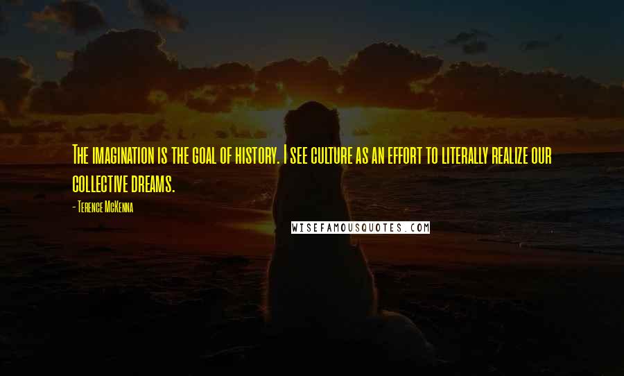 Terence McKenna Quotes: The imagination is the goal of history. I see culture as an effort to literally realize our collective dreams.
