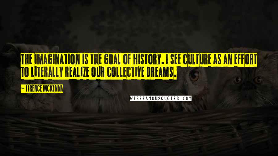 Terence McKenna Quotes: The imagination is the goal of history. I see culture as an effort to literally realize our collective dreams.