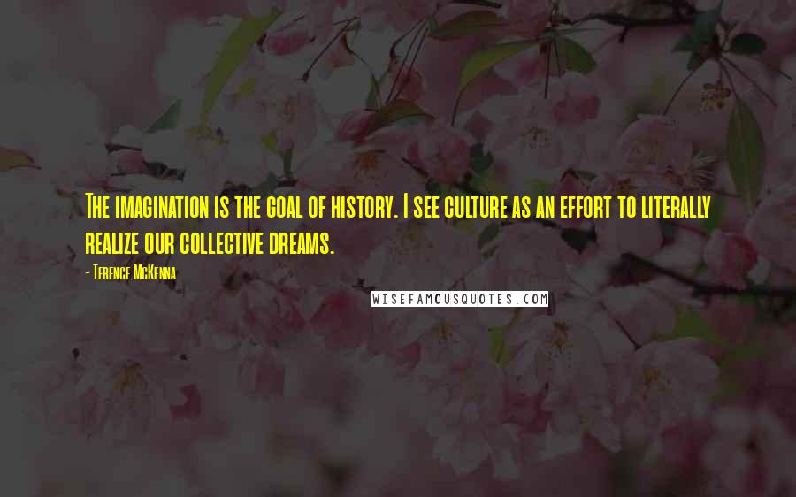 Terence McKenna Quotes: The imagination is the goal of history. I see culture as an effort to literally realize our collective dreams.