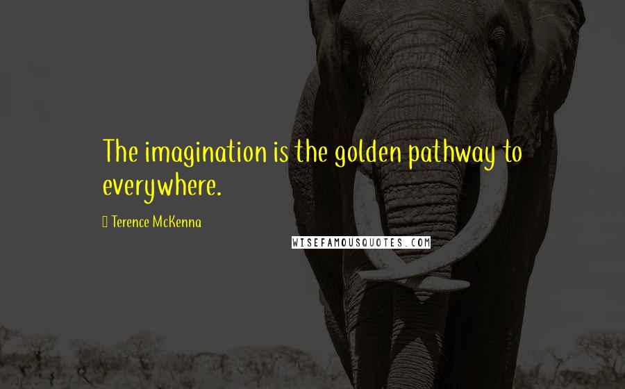 Terence McKenna Quotes: The imagination is the golden pathway to everywhere.