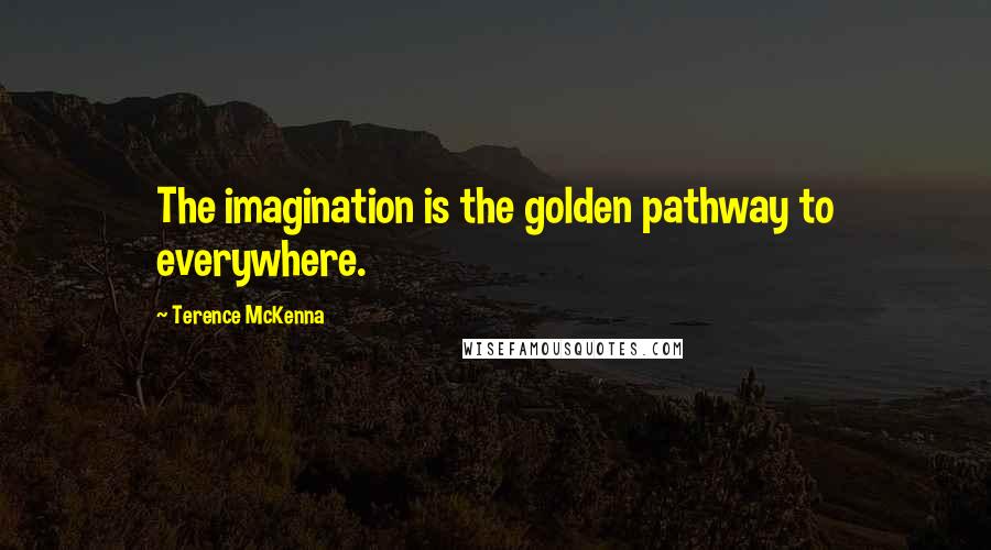 Terence McKenna Quotes: The imagination is the golden pathway to everywhere.