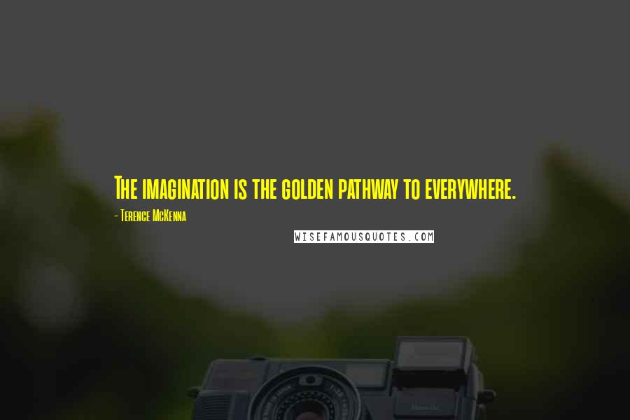 Terence McKenna Quotes: The imagination is the golden pathway to everywhere.