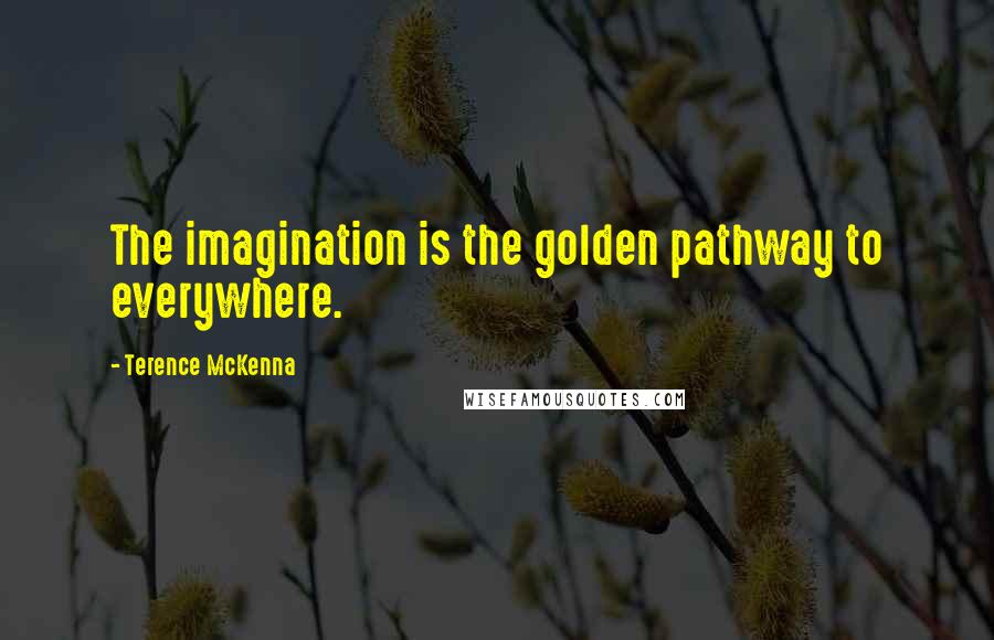 Terence McKenna Quotes: The imagination is the golden pathway to everywhere.