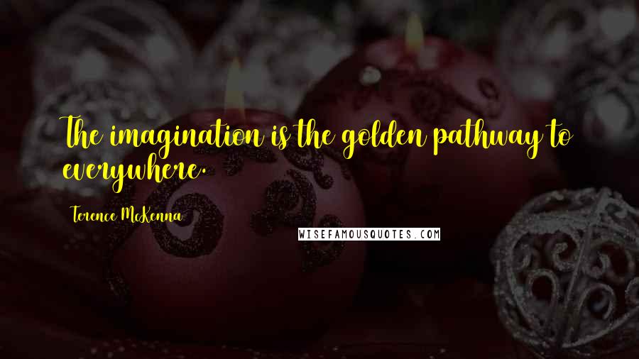 Terence McKenna Quotes: The imagination is the golden pathway to everywhere.