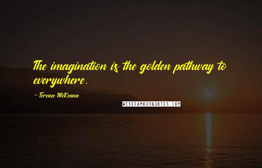 Terence McKenna Quotes: The imagination is the golden pathway to everywhere.