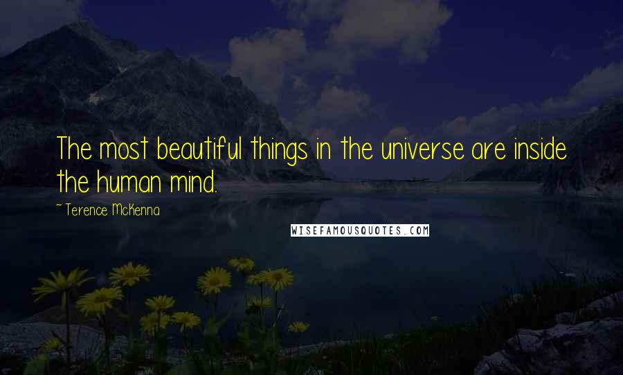 Terence McKenna Quotes: The most beautiful things in the universe are inside the human mind.