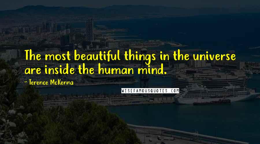 Terence McKenna Quotes: The most beautiful things in the universe are inside the human mind.