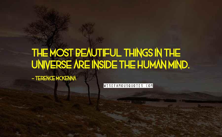 Terence McKenna Quotes: The most beautiful things in the universe are inside the human mind.