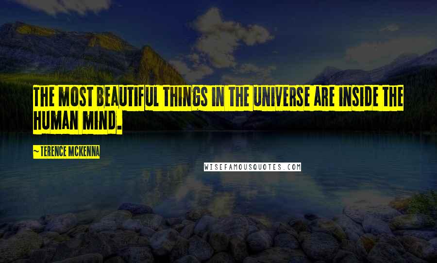 Terence McKenna Quotes: The most beautiful things in the universe are inside the human mind.