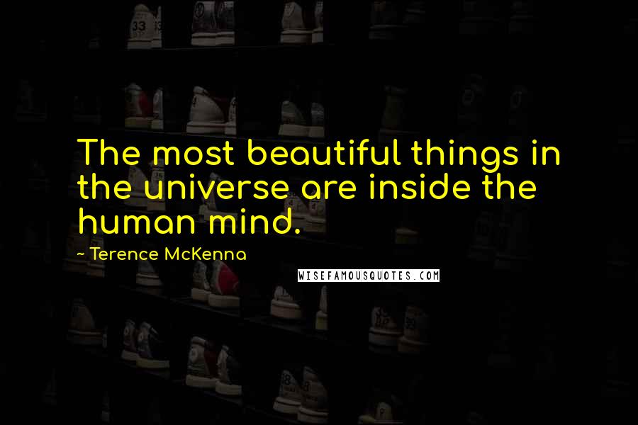 Terence McKenna Quotes: The most beautiful things in the universe are inside the human mind.