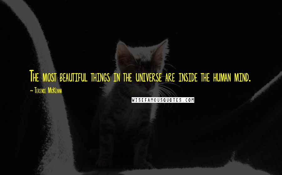 Terence McKenna Quotes: The most beautiful things in the universe are inside the human mind.