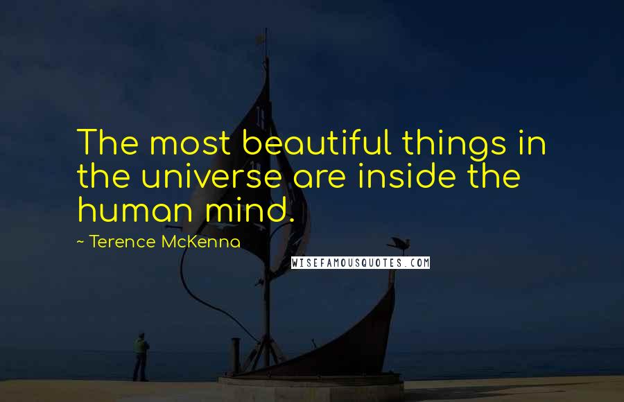 Terence McKenna Quotes: The most beautiful things in the universe are inside the human mind.