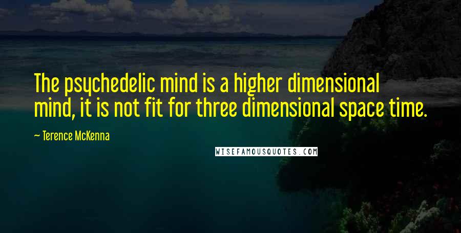Terence McKenna Quotes: The psychedelic mind is a higher dimensional mind, it is not fit for three dimensional space time.