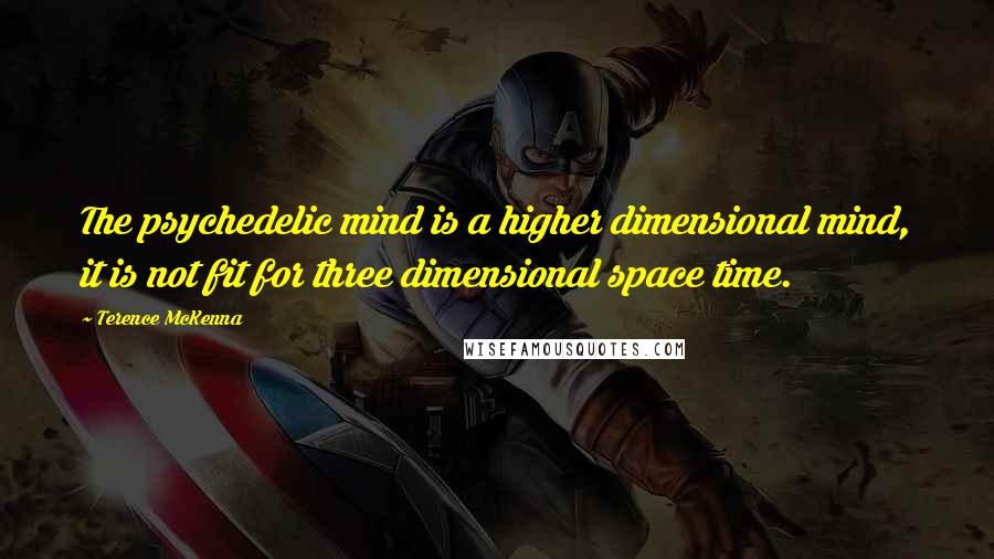 Terence McKenna Quotes: The psychedelic mind is a higher dimensional mind, it is not fit for three dimensional space time.