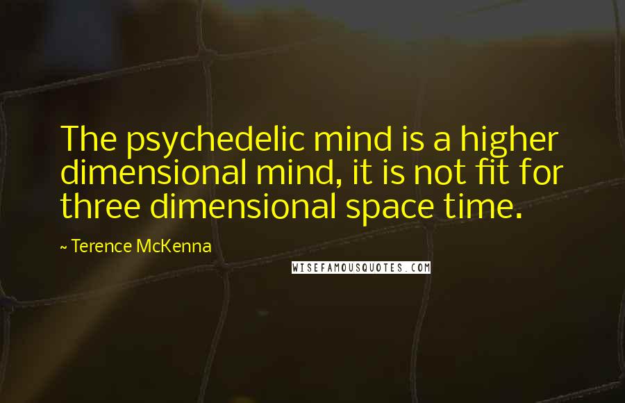 Terence McKenna Quotes: The psychedelic mind is a higher dimensional mind, it is not fit for three dimensional space time.