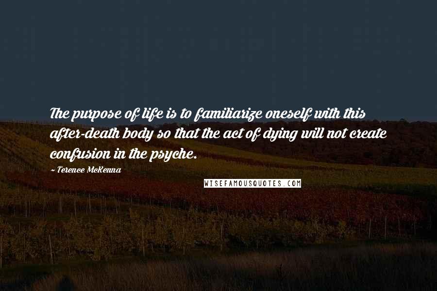 Terence McKenna Quotes: The purpose of life is to familiarize oneself with this after-death body so that the act of dying will not create confusion in the psyche.