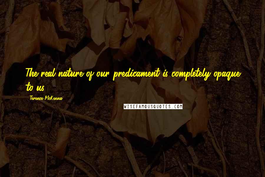 Terence McKenna Quotes: The real nature of our predicament is completely opaque to us.