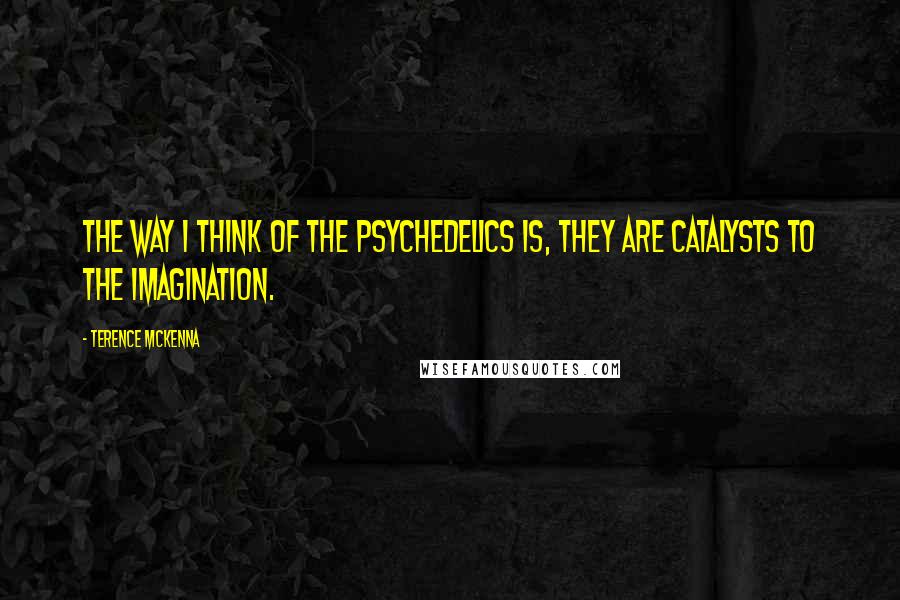 Terence McKenna Quotes: The way I think of the psychedelics is, they are catalysts to the imagination.